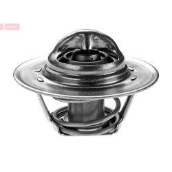 Termostatas, aušinimo skystis DENSO DTM89276