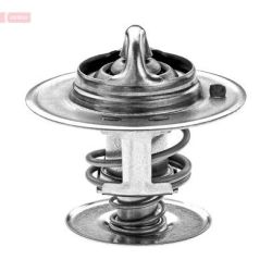 Termostatas, aušinimo skystis DENSO DTM91270