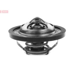 Termostatas, aušinimo skystis DENSO DTM95457