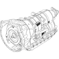 Automatinė pavarų dėžė ZF 1071.012.123