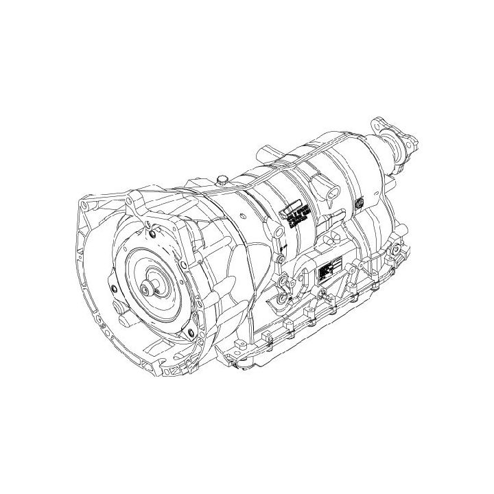 Automatinė pavarų dėžė ZF 1071.012.123