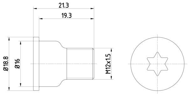 Varžtas, stabdžių diskas MINTEX TPM0005