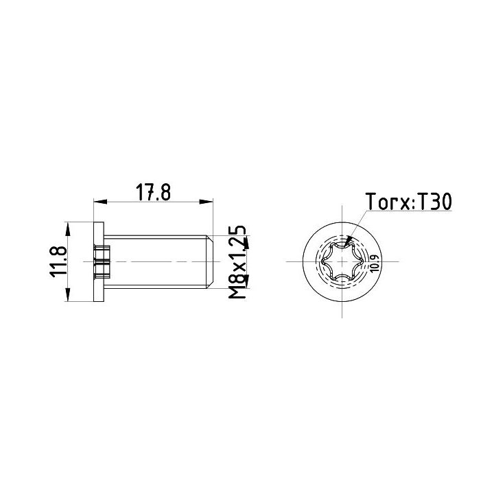 Varžtas, stabdžių diskas MINTEX TPM0013