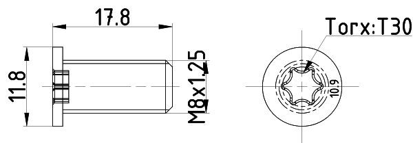 Varžtas, stabdžių diskas MINTEX TPM0013