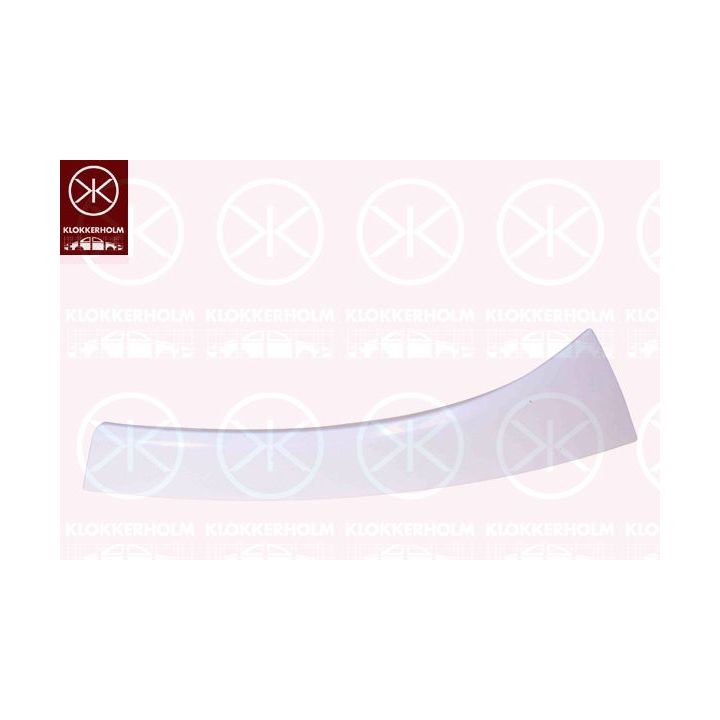 Priekinio žibinto apdaila KLOKKERHOLM 2097213