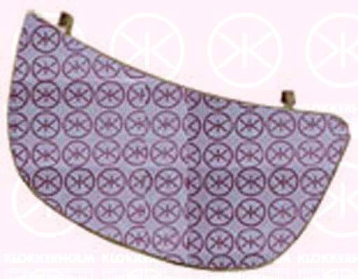 Veidrodėlio stiklas, išorinis veidrodėlis KLOKKERHOLM 50891065