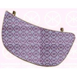 Veidrodėlio stiklas, išorinis veidrodėlis KLOKKERHOLM 50891066