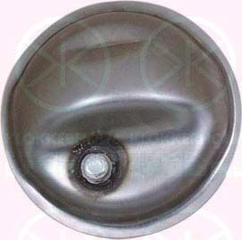 Apsauginis gaubtas, kardaninio veleno centrinis guolis KLOKKERHOLM 8193865