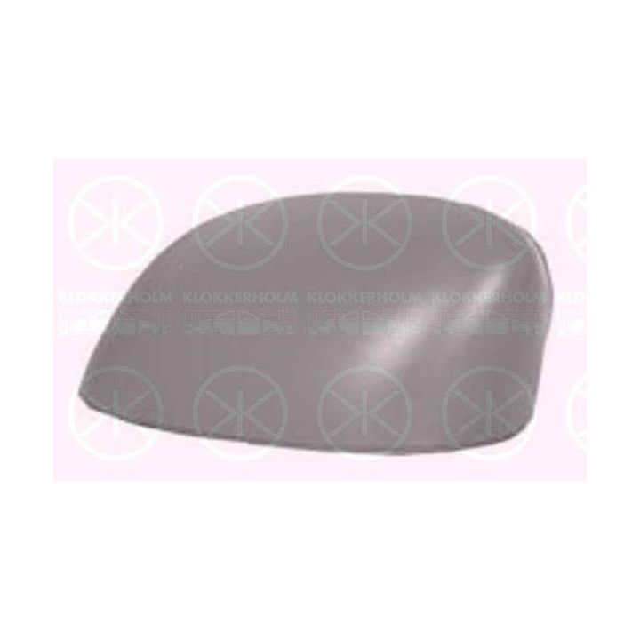 Korpusas, išorinis veidrodėlis KLOKKERHOLM 20241053