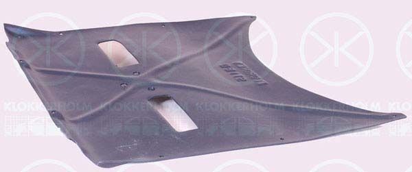 Variklio dangtis KLOKKERHOLM 2027795