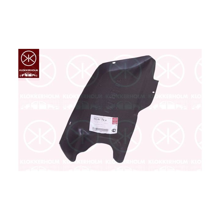 Variklio dangtis KLOKKERHOLM 3081794