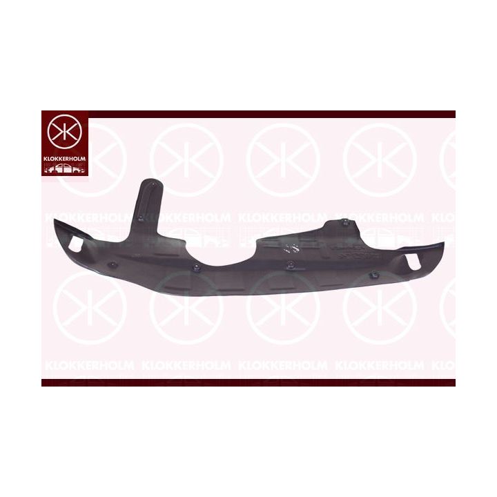 Variklio dangtis KLOKKERHOLM 3175795