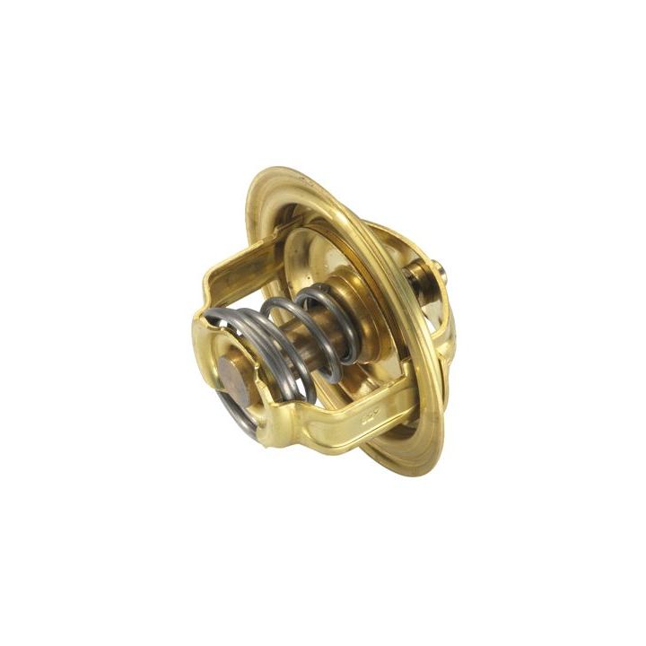 Termostatas, aušinimo skystis BorgWarner (Wahler) 3004.82