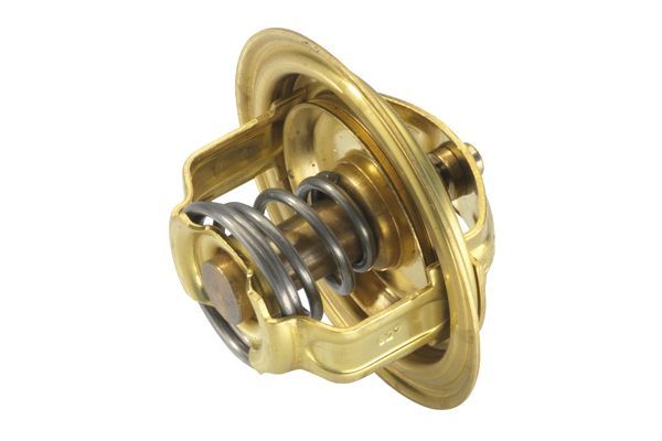 Termostatas, aušinimo skystis BorgWarner (Wahler) 3004.82