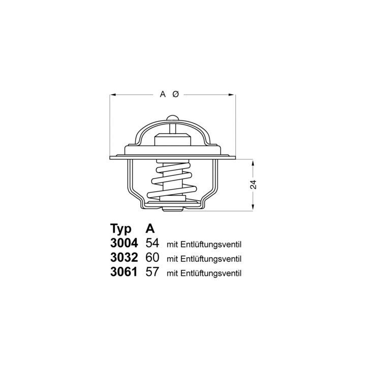 Termostatas, aušinimo skystis BorgWarner (Wahler) 3004.92D1