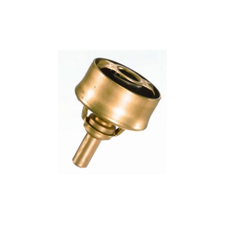 Termostatas, aušinimo skystis BorgWarner (Wahler) 3029.86