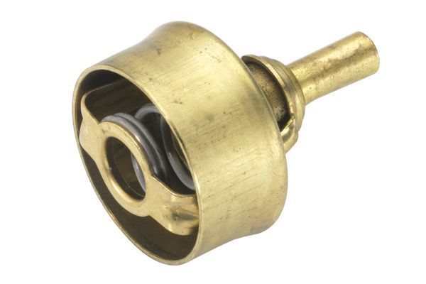 Termostatas, aušinimo skystis BorgWarner (Wahler) 3029.86