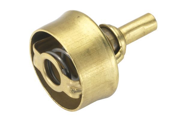 Termostatas, aušinimo skystis BorgWarner (Wahler) 3029.89