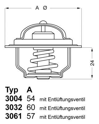 Termostatas, aušinimo skystis BorgWarner (Wahler) 3032.80