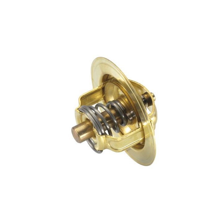 Termostatas, aušinimo skystis BorgWarner (Wahler) 3032.80