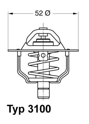 Termostatas, aušinimo skystis BorgWarner (Wahler) 3100.92D