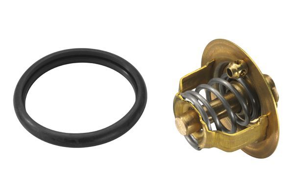 Termostatas, aušinimo skystis BorgWarner (Wahler) 3100.92D