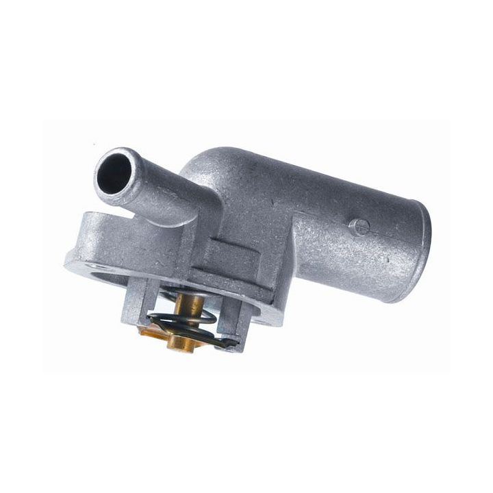 Termostatas, aušinimo skystis BorgWarner (Wahler) 3109.87D