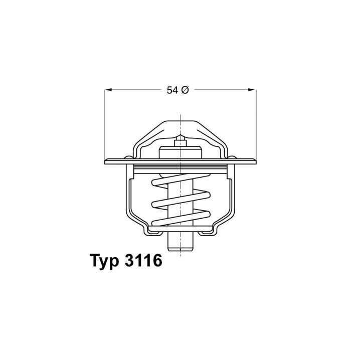 Termostatas, aušinimo skystis BorgWarner (Wahler) 3116.82D