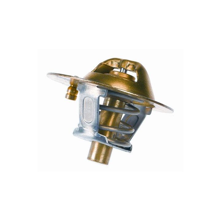 Termostatas, aušinimo skystis BorgWarner (Wahler) 3118.82D1