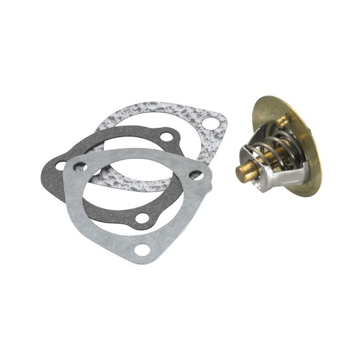 Termostatas, aušinimo skystis BorgWarner (Wahler) 3118.82D1