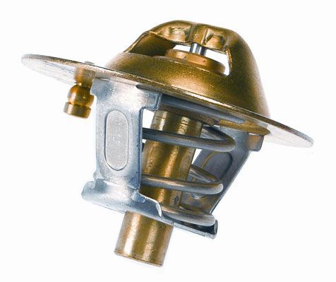 Termostatas, aušinimo skystis BorgWarner (Wahler) 3118.88D1
