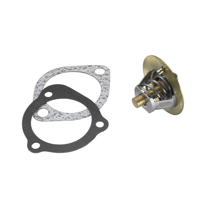 Termostatas, aušinimo skystis BorgWarner (Wahler) 3118.88D1