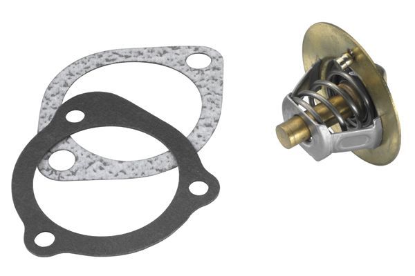 Termostatas, aušinimo skystis BorgWarner (Wahler) 3118.88D1