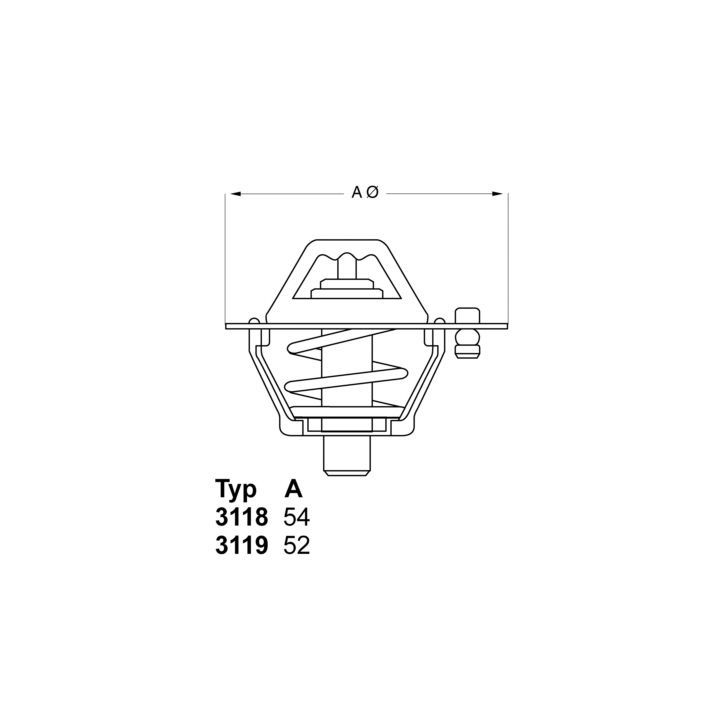 Termostatas, aušinimo skystis BorgWarner (Wahler) 3119.82