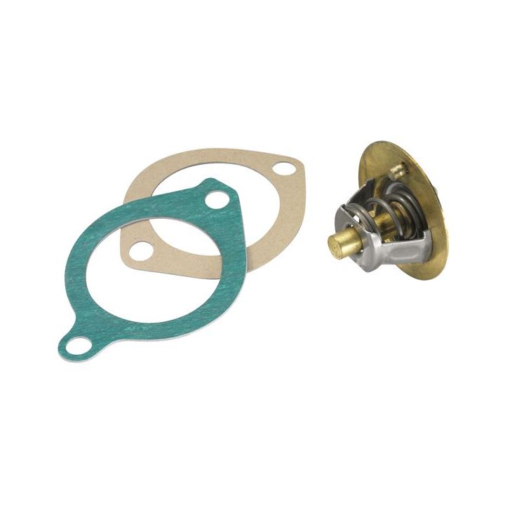 Termostatas, aušinimo skystis BorgWarner (Wahler) 3119.82D3