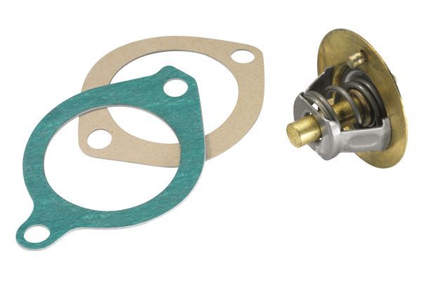 Termostatas, aušinimo skystis BorgWarner (Wahler) 3119.82D3