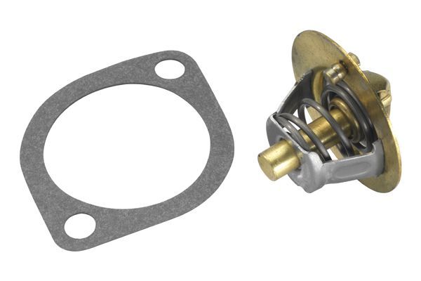 Termostatas, aušinimo skystis BorgWarner (Wahler) 3119.82D4