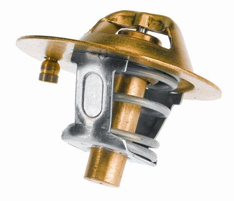 Termostatas, aušinimo skystis BorgWarner (Wahler) 3119.88D3