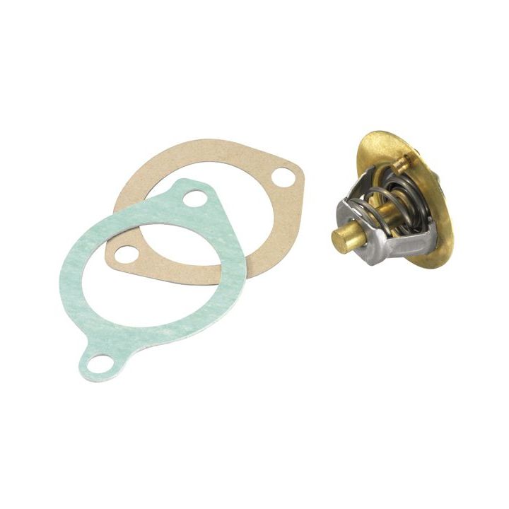 Termostatas, aušinimo skystis BorgWarner (Wahler) 3119.88D3