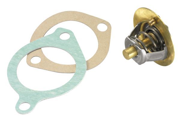 Termostatas, aušinimo skystis BorgWarner (Wahler) 3119.88D3