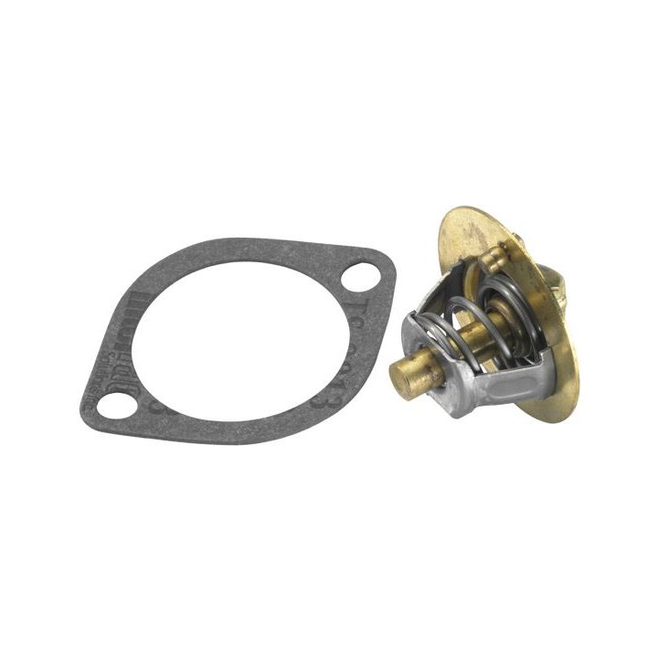 Termostatas, aušinimo skystis BorgWarner (Wahler) 3119.88D4