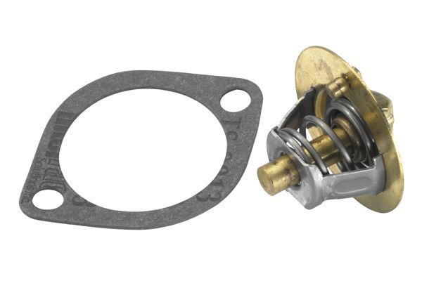 Termostatas, aušinimo skystis BorgWarner (Wahler) 3119.88D4