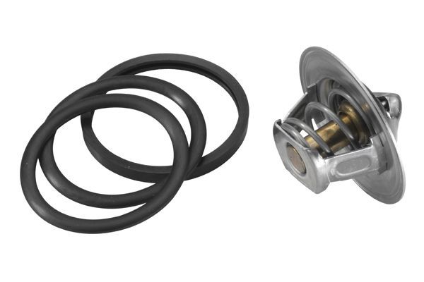 Termostatas, aušinimo skystis BorgWarner (Wahler) 3136.82D50