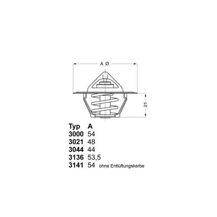 Termostatas, aušinimo skystis BorgWarner (Wahler) 3136.88D50