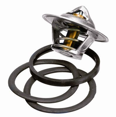 Termostatas, aušinimo skystis BorgWarner (Wahler) 3136.88D50