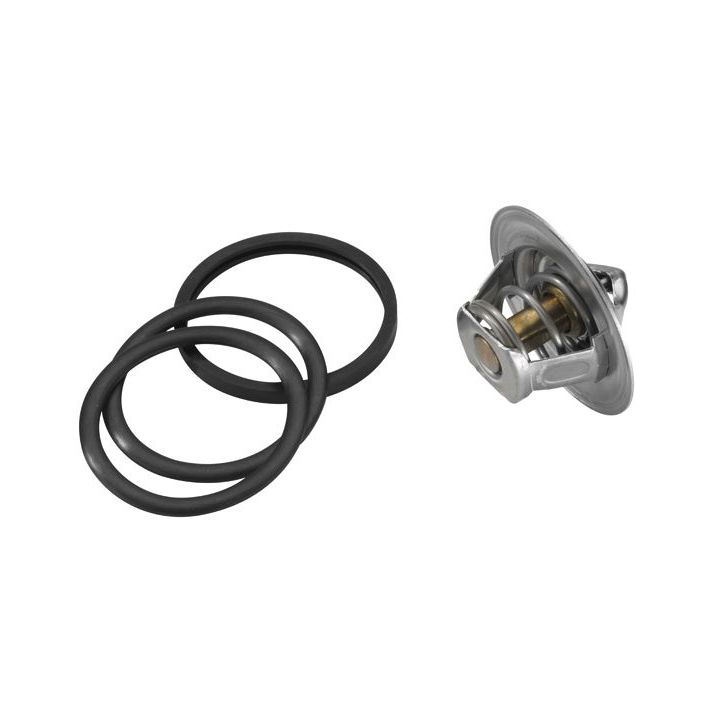 Termostatas, aušinimo skystis BorgWarner (Wahler) 3136.88D50