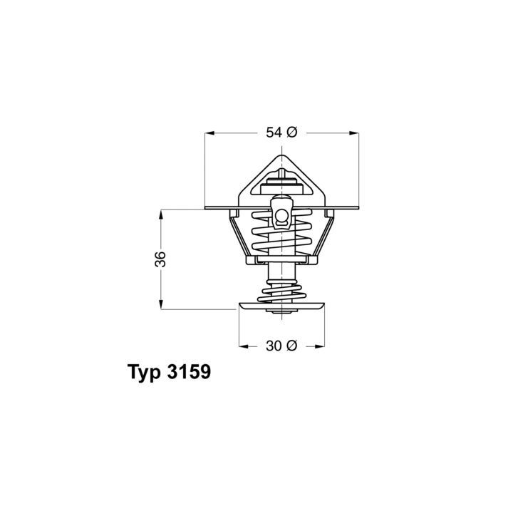 Termostatas, aušinimo skystis BorgWarner (Wahler) 3159.82D