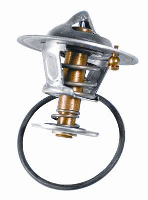 Termostatas, aušinimo skystis BorgWarner (Wahler) 3159.82D