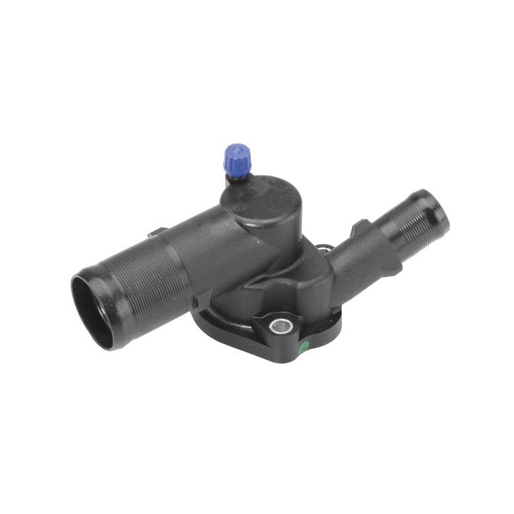 Termostatas, aušinimo skystis BorgWarner (Wahler) 3166.89D