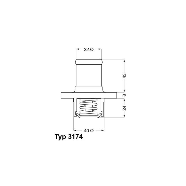 Termostatas, aušinimo skystis BorgWarner (Wahler) 3174.89D